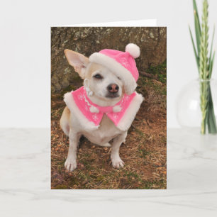 Mrs. Claus Christmas Card