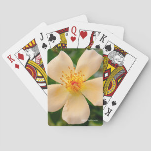 Mrs. Oakley Fisher Rose Playing Cards