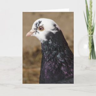 Mrs. Pigeon Card
