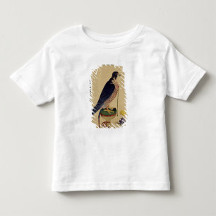Ms E-14 Falcon, from a Moraqqa Toddler T-Shirt