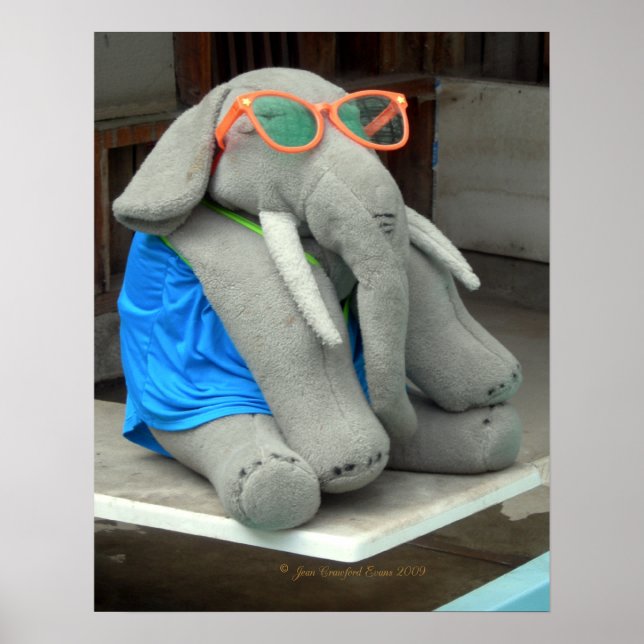Ms Ella goes to the pool Poster (Front)