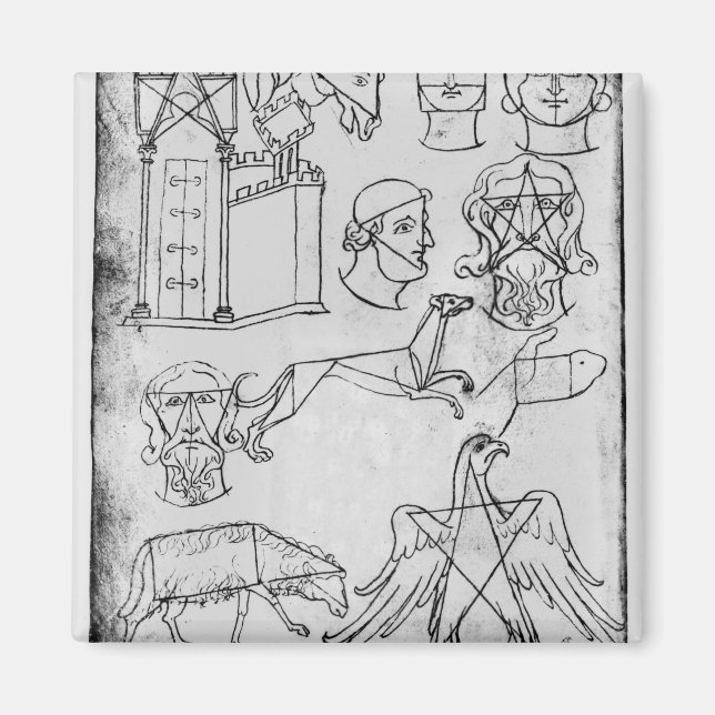 Ms Fr 19093 fol.18v Various drawings Magnet (Front)