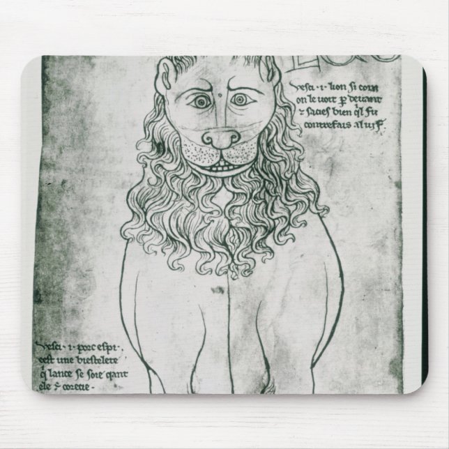 Ms Fr 19093 fol.24v Lion and Porcupine Mouse Pad (Front)
