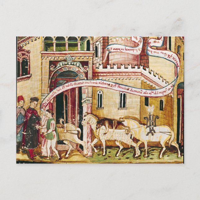 Ms H. V-5 Taxing the merchants Postcard (Front)