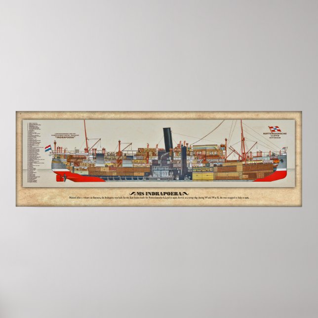 MS Indrapoera Cutaway - Inboard Profile Poster (Front)