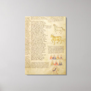 Ms Italien 87 fol.171 Page illustrating astrologic Canvas Print
