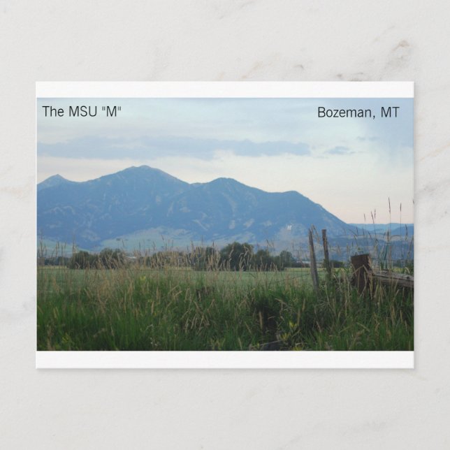 MSU "M" postcard (Front)