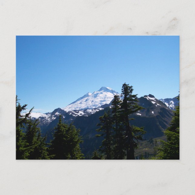 Mt Baker in Summer Postcard (Front)