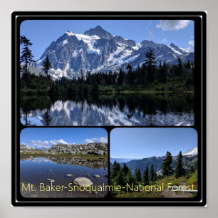 Mt. Baker-Snoqualmie National Forest Collage Poster