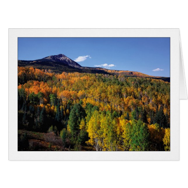 "Mt. Baldy - Aspen Tree Flow" (Front Horizontal)