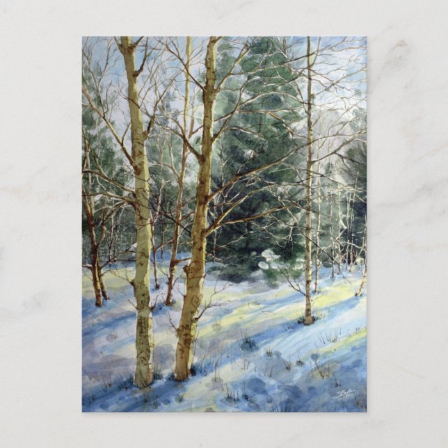 Mt Charleston trees in the snow Postcard (Front)