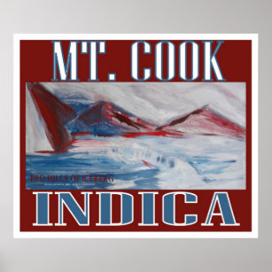 MT COOK INDICA POSTER