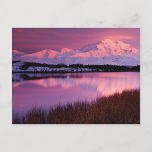Mt. Denali at sunset from Reflection Pond Postcard