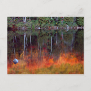 Mt. Desert Island   Acadia National Park, Maine Postcard