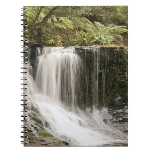 Mt. Field National Park Horseshoe Falls Notebook