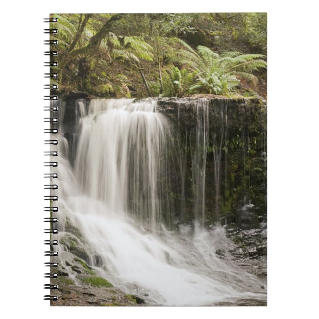 Mt. Field National Park | Horseshoe Falls Notebook (Front)