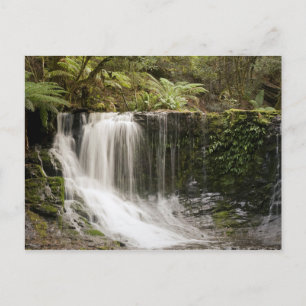 Mt. Field National Park Horseshoe Falls Postcard