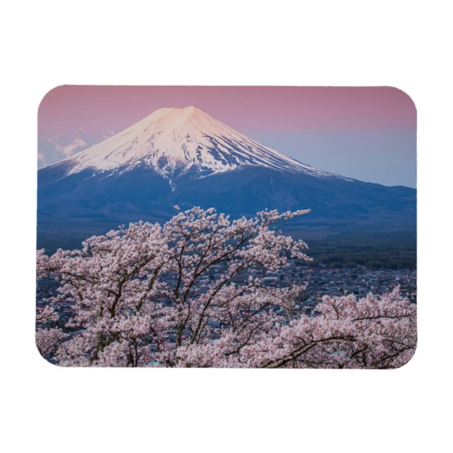 Mt Fuji and Cherry Blossoms Magnet (Horizontal)