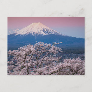 Mt Fuji and Cherry Blossoms Postcard