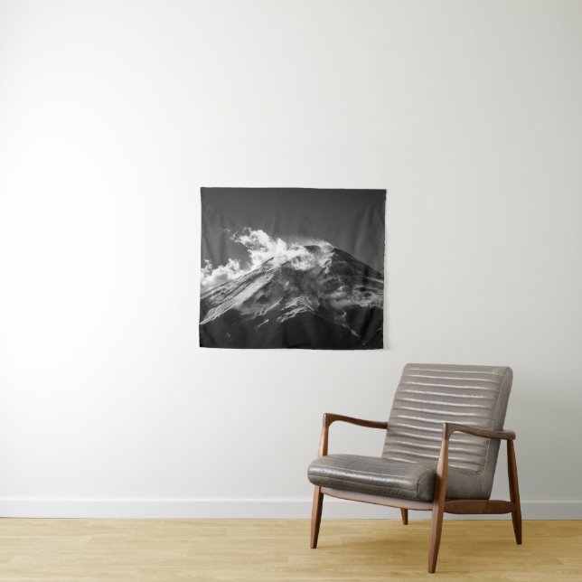Mt. Fuji in Black and White Tapestry (In Situ (Horizontal))