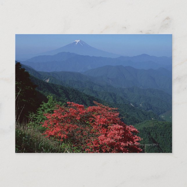 Mt. Fuji Postcard (Front)