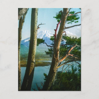 Mt. Fuji Through the Morning Woods Vintage Japan Postcard