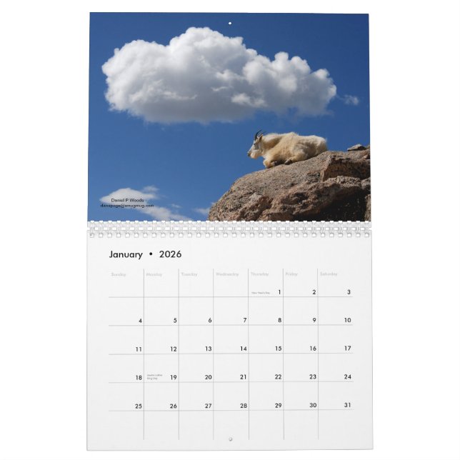 Mt Goats on Mt Evans, Colorado Calendar (Jan 2026)