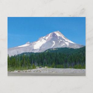 Mt. Hood in Summer, Oregon Postcard