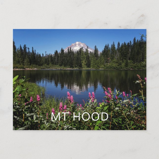 Mt Hood Lake Reflection Post Card (Front)