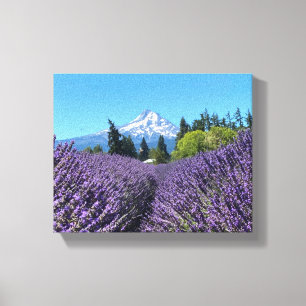 Mt Hood Oregon  Canvas Print