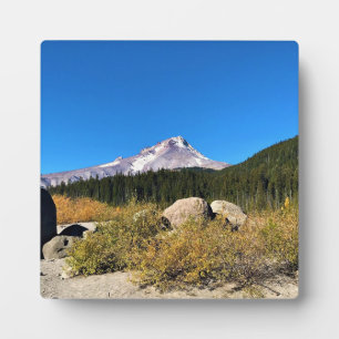 Mt. Hood, Oregon Plaque