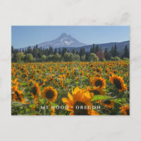 Mt Hood | Oregon