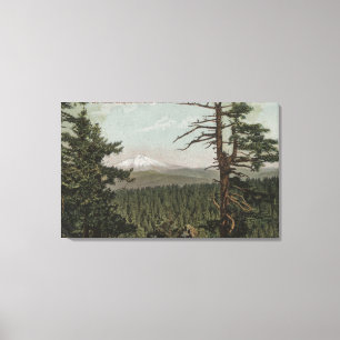 Mt. Hood, Oregon - View of Mountain from Distant Canvas Print