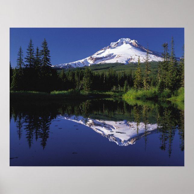 Mt Hood Poster (Front)