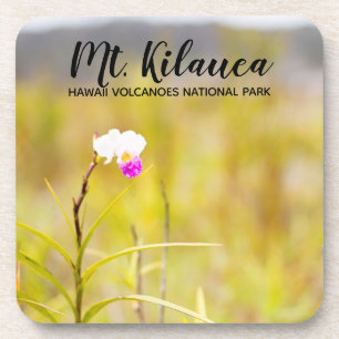 Mt. Kilauea Volcanoes National Park Hawaii Coaster