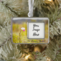 Mt. Kilauea Volcanoes National Park Hawaii Silver Plated Framed Ornament