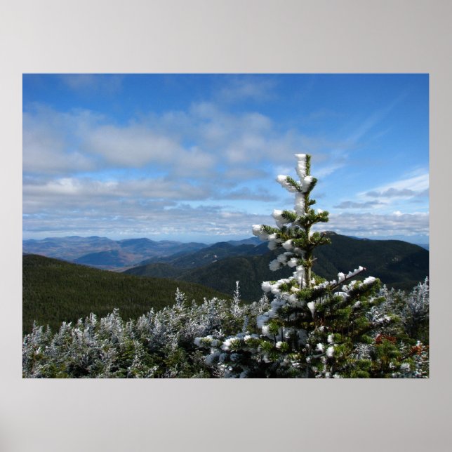 Mt. Marcy Trail Poster (Front)