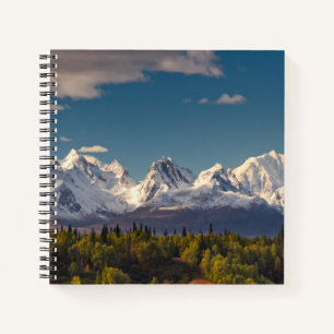 Mt. McKinley Alaska Notebook