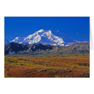 Mt . McKinley Denali National Park , Alaska.