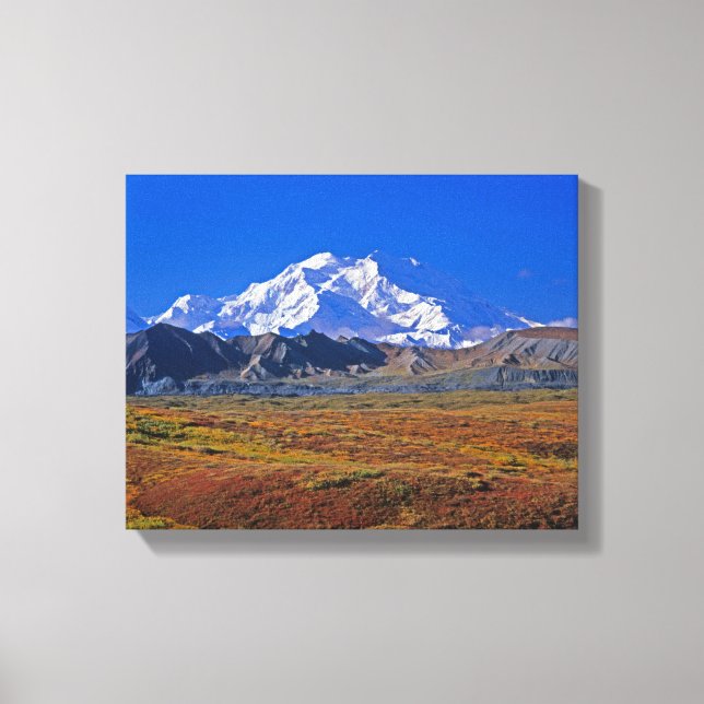 Mt . McKinley Denali National Park , Alaska. Canvas Print (Front)