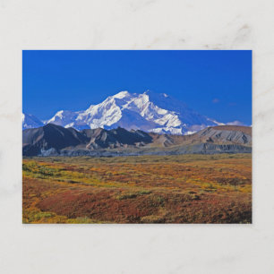Mt . McKinley Denali National Park , Alaska. Postcard