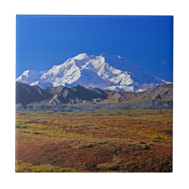 Mt . McKinley Denali National Park , Alaska Tile (Front)