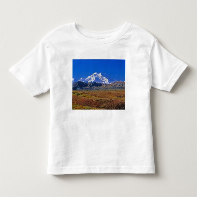 Mt . McKinley Denali National Park , Alaska. Toddler T-Shirt (Front)