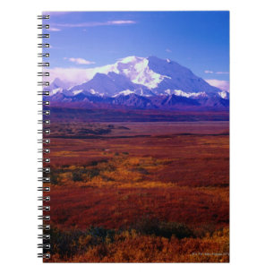 Mt. McKinley Notebook