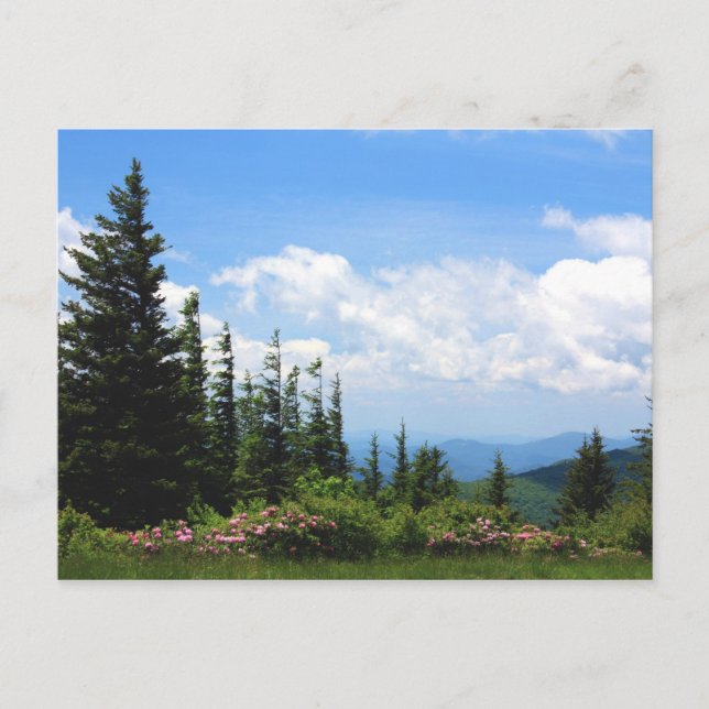 Mt. Mithcell State Park Postcard (Front)