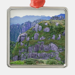 Mt. Nagata, Yakushima, Kagoshima, Japan Metal Tree Decoration