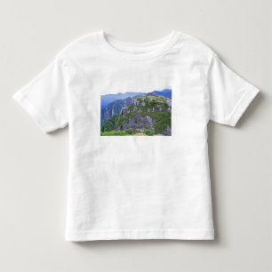 Mt. Nagata, Yakushima, Kagoshima, Japan Toddler T-Shirt