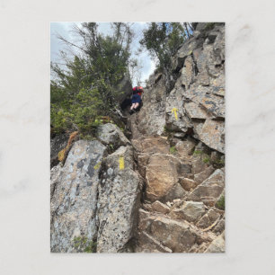 Mt. Osceola New Hampshire Postcard