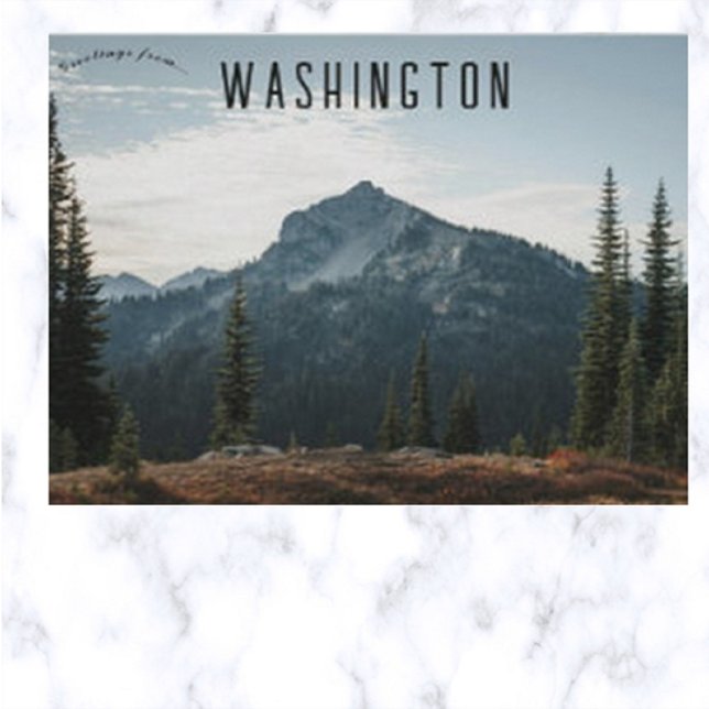 Mt Rainier National Park Washington USA Postcard (Creator Uploaded)