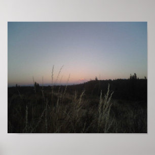 Mt Rainier. Poster